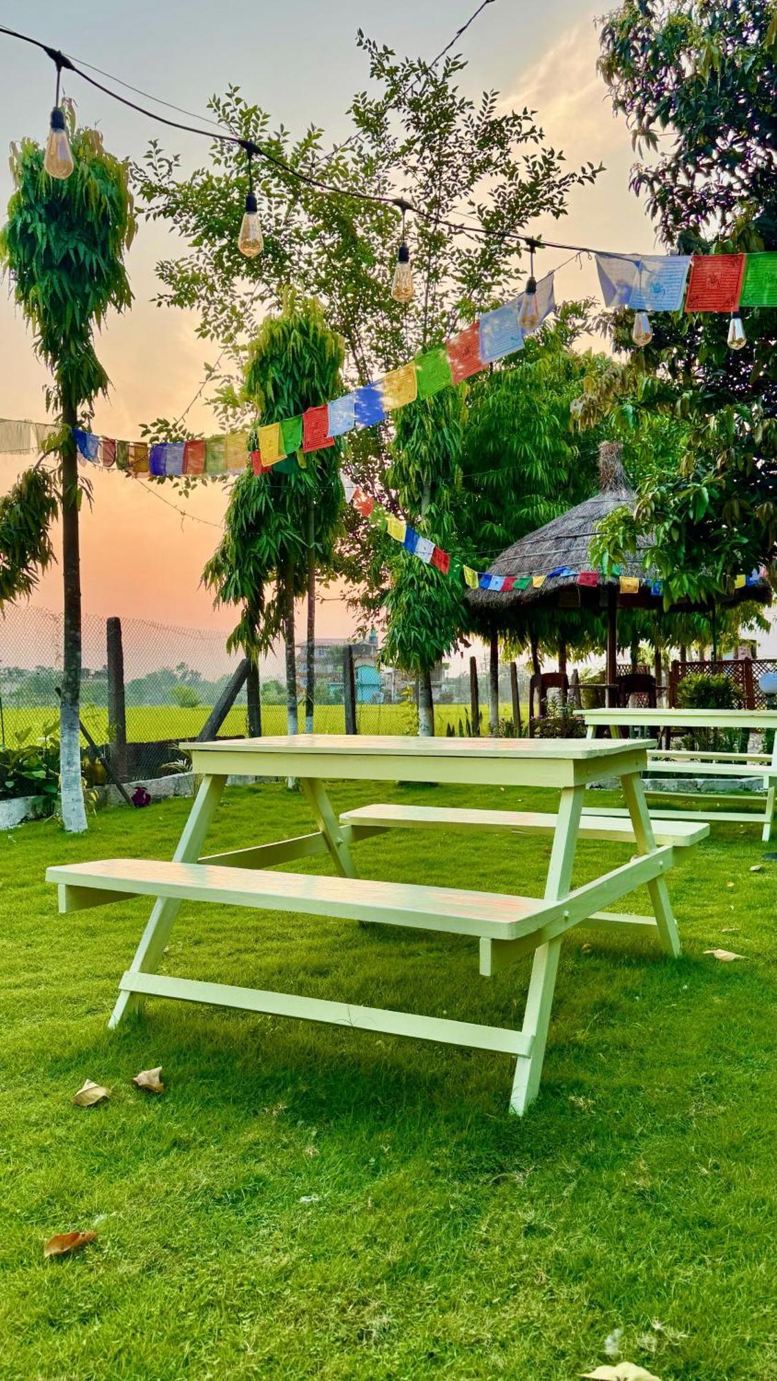 Hotel Tree Tops- A Serene Friendly Hotel In Sauraha Чітаван Екстер'єр фото